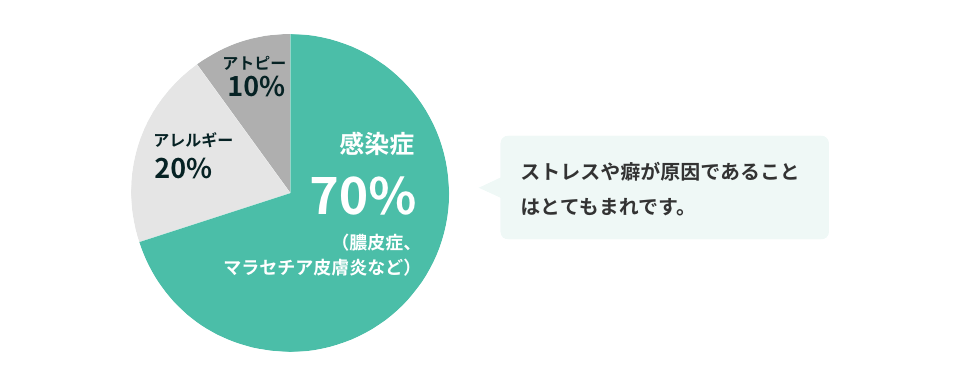犬のかゆみを引き起こす原因の図