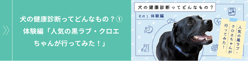 犬の健康診断ってどんなもの？① 体験編「人気の黒ラブ・クロエちゃんが⾏ってみた！」