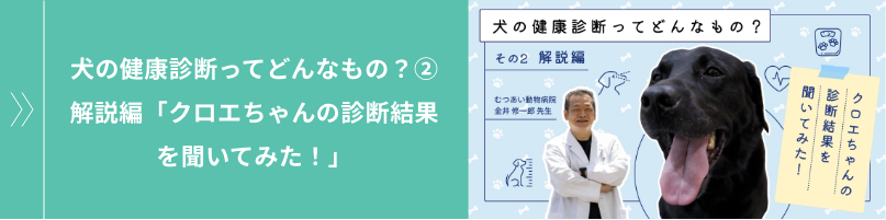 犬の健康診断ってどんなもの？② 解説編「クロエちゃんの診断結果を聞いてみた！」