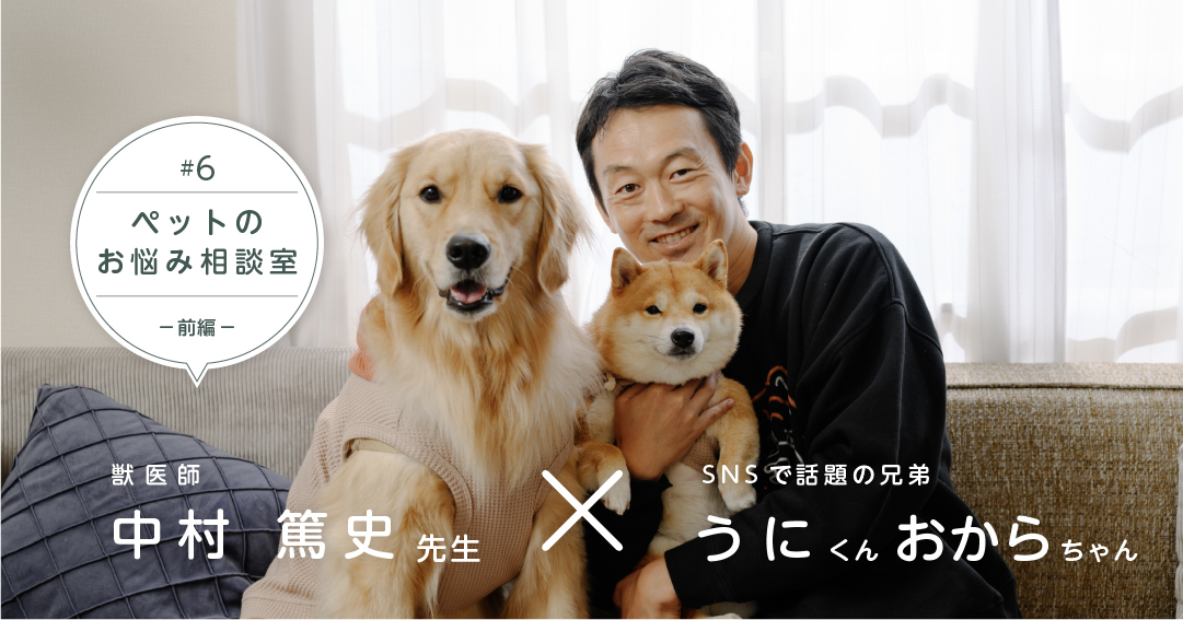 小さい“兄”と大きい“妹”の日常がSNSで大人気！体格差のある多頭飼育や