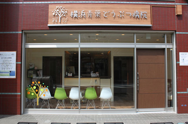 横浜青葉どうぶつ病院