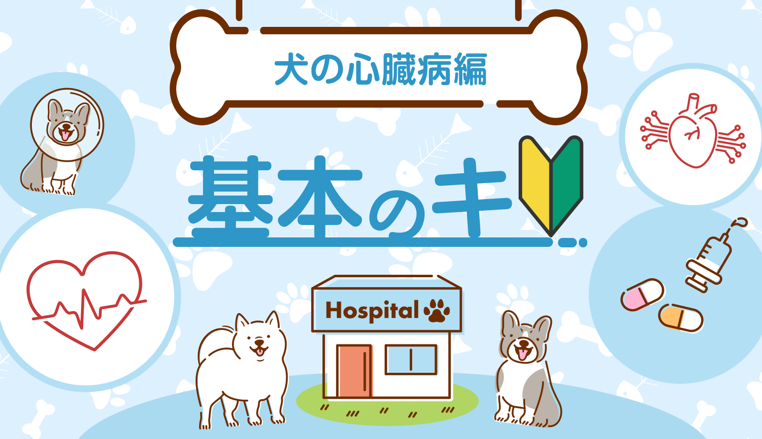 犬の心臓病│早期発見につなげるポイントや予防方法を獣医師が解説