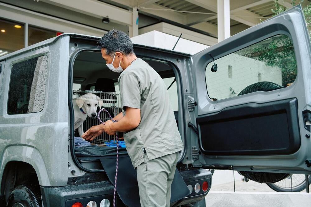 犬を車に乗せる