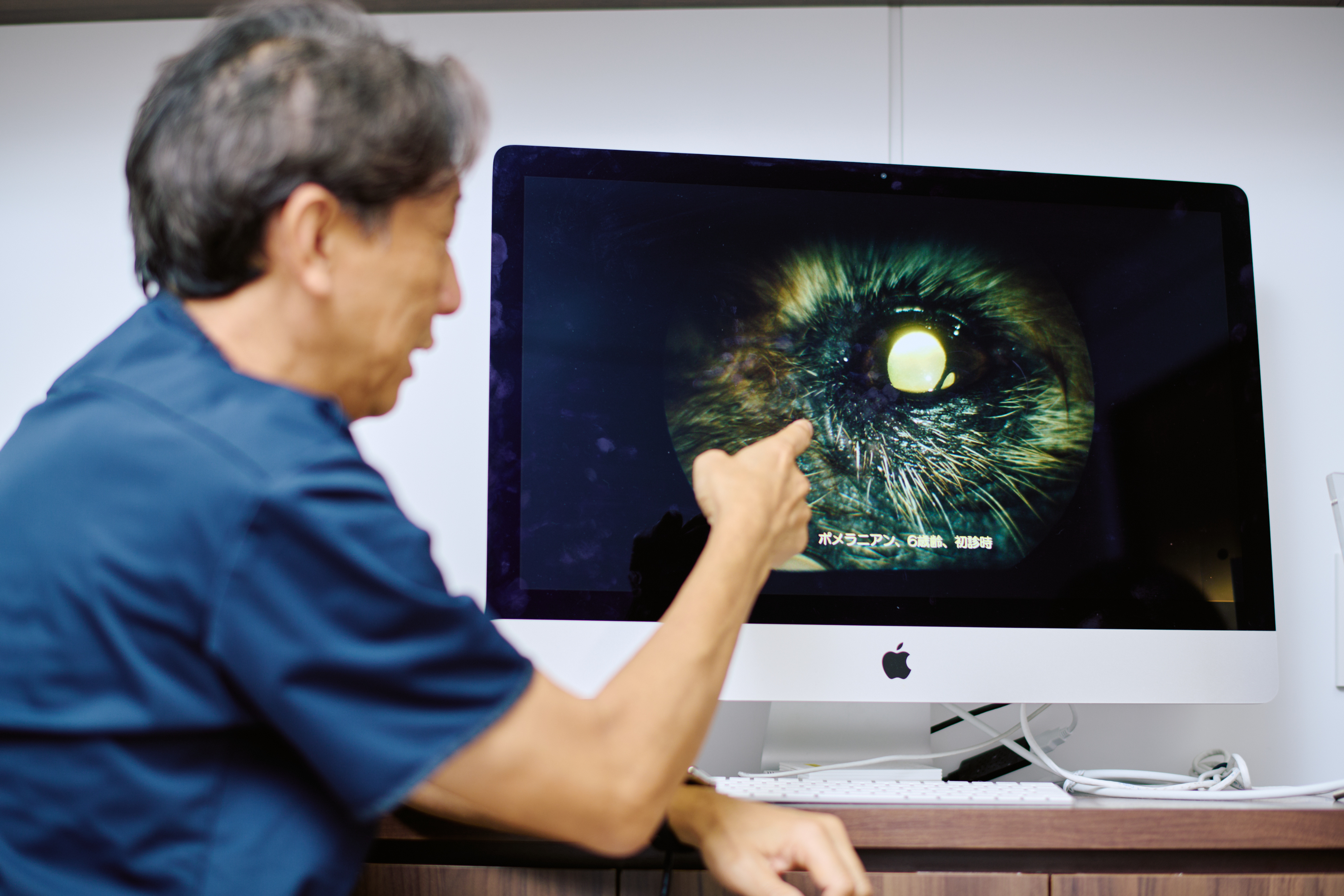 説明する小林先生