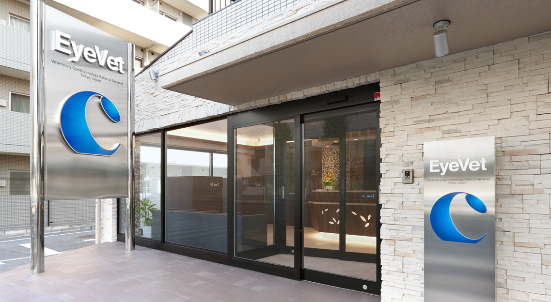 どうぶつ眼科 EyeVet
