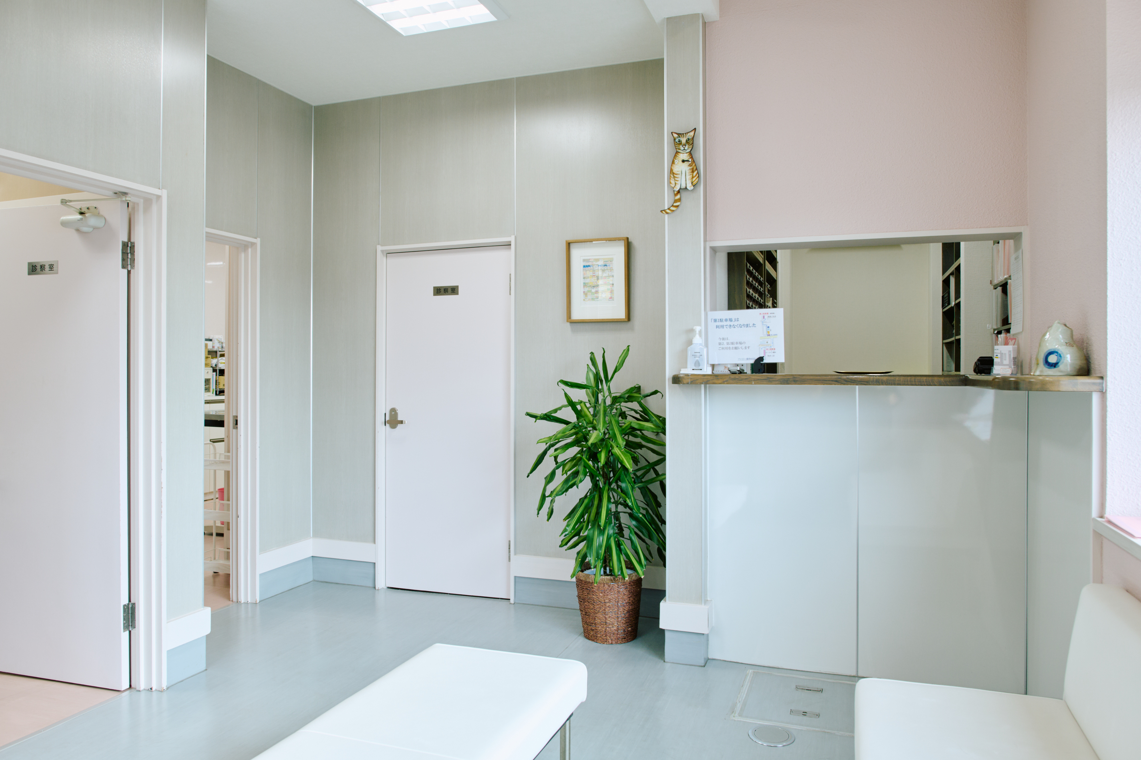 キャットフレンドリーな診察室