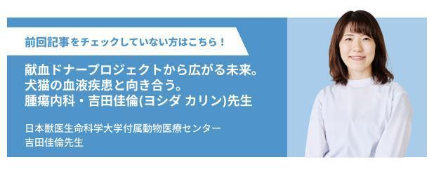 日本獣医生命科学大学付属動物医療センター吉田佳倫先生