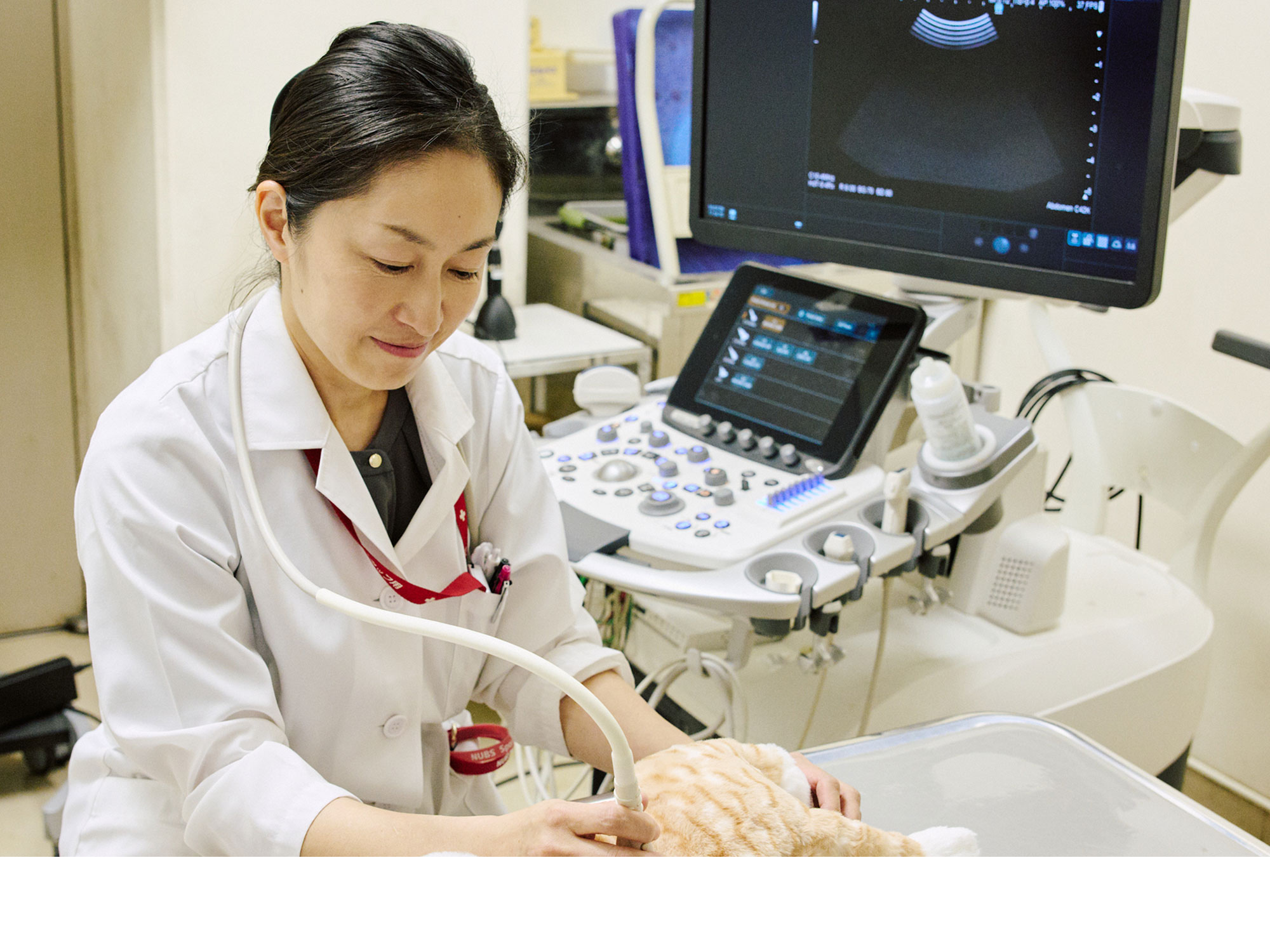 診察をする阪本先生