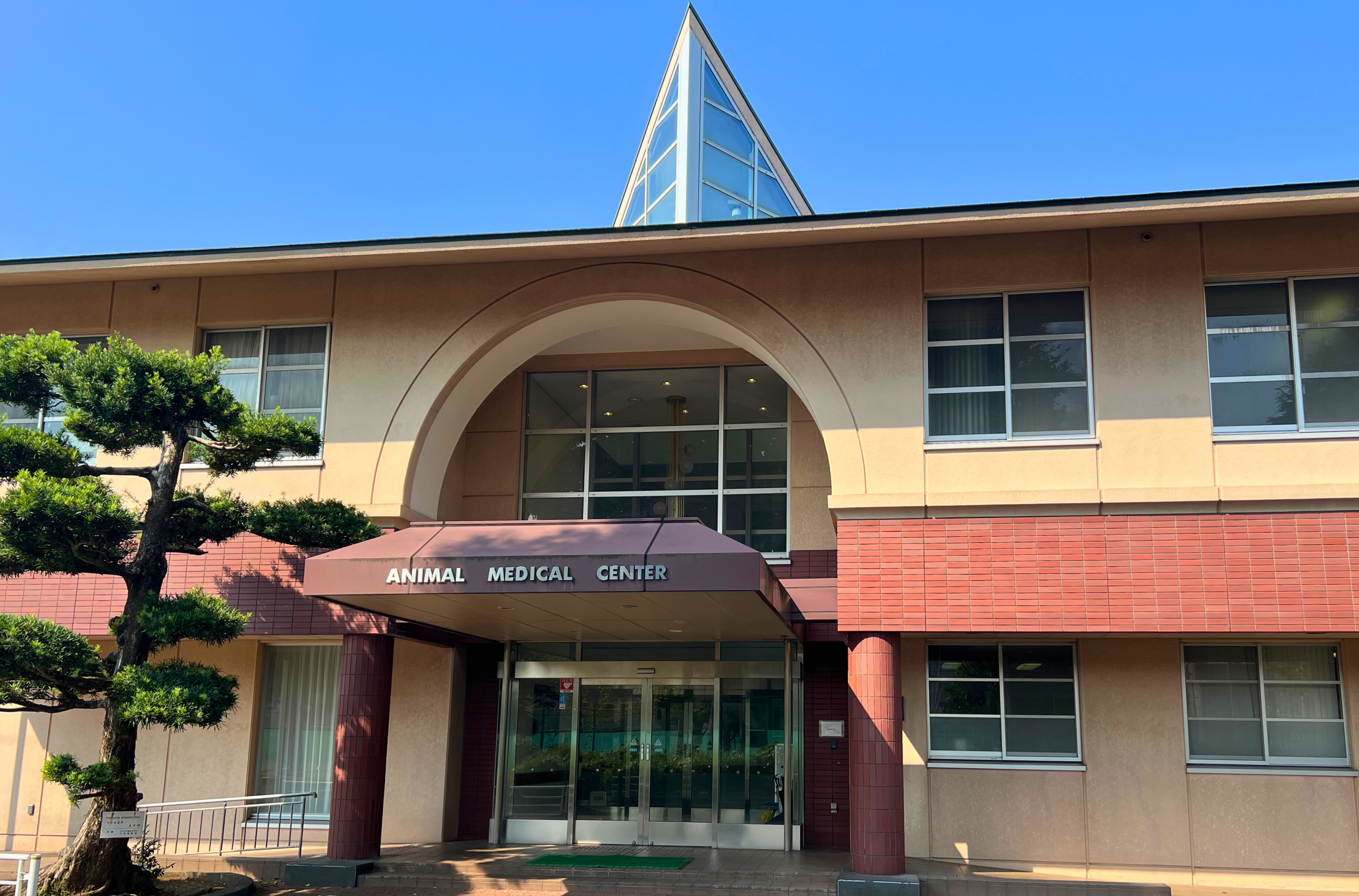 日本大学動物病院 ANMEC