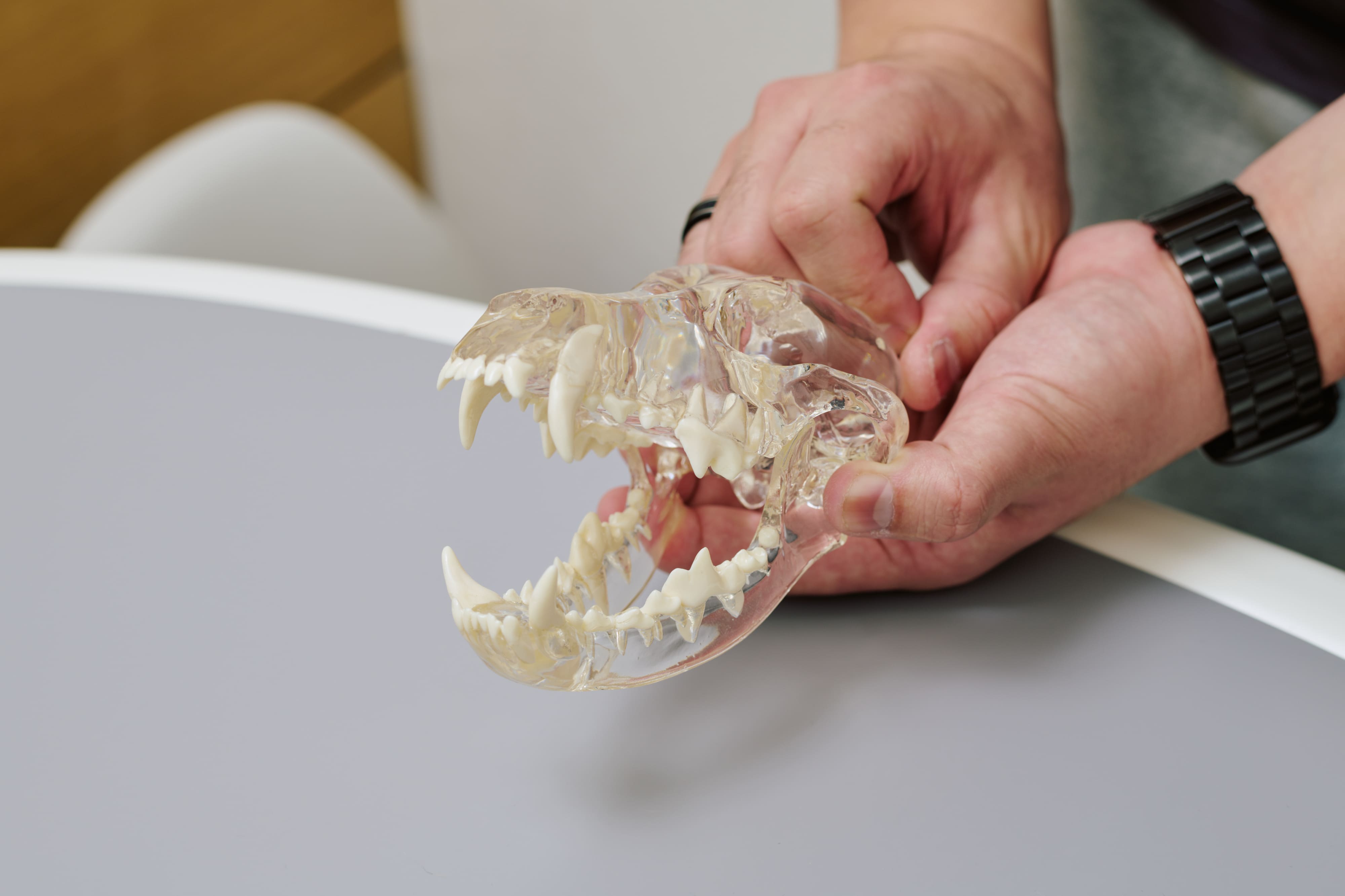 診察室でのカウンセリング風景