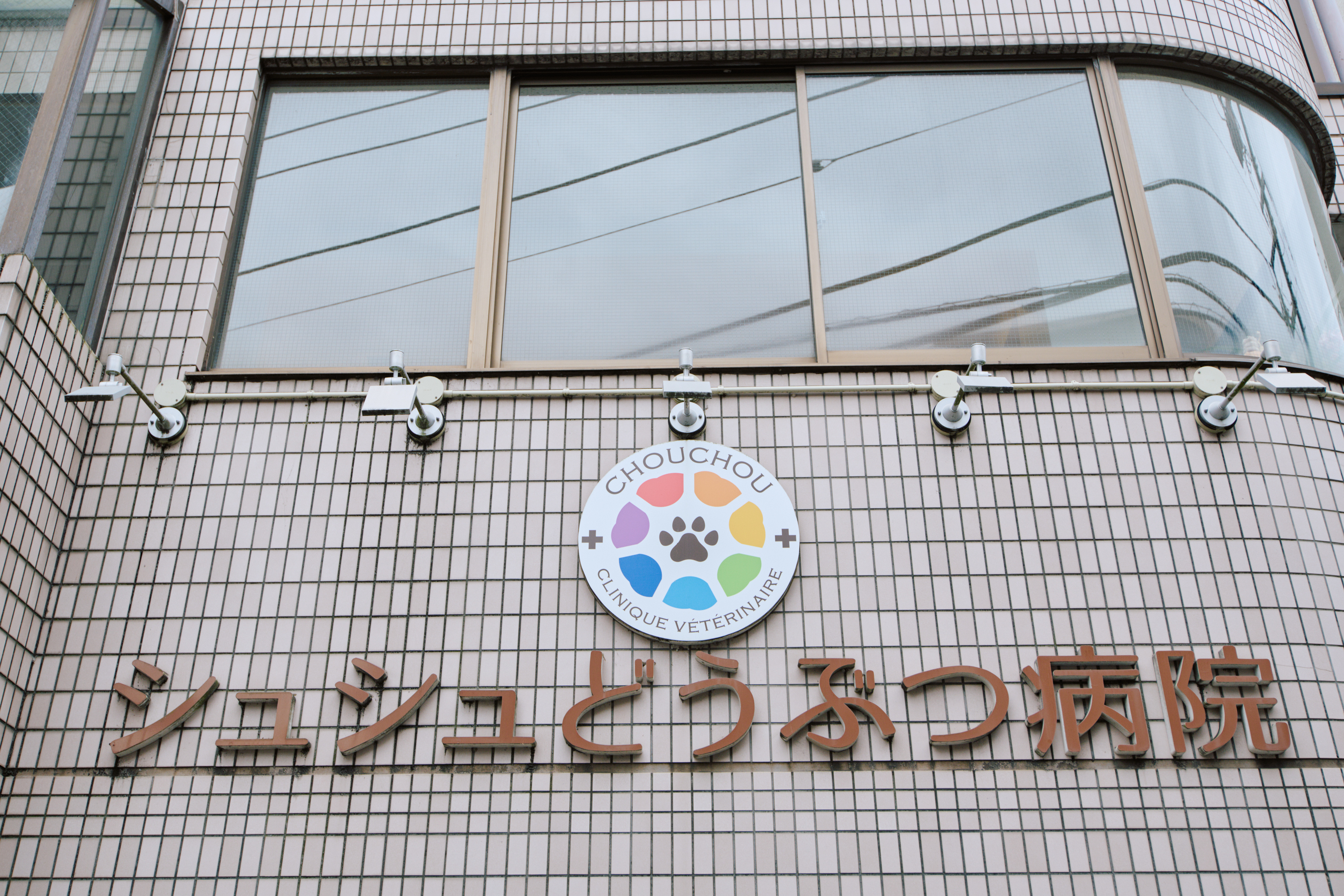 シュシュどうぶつ病院