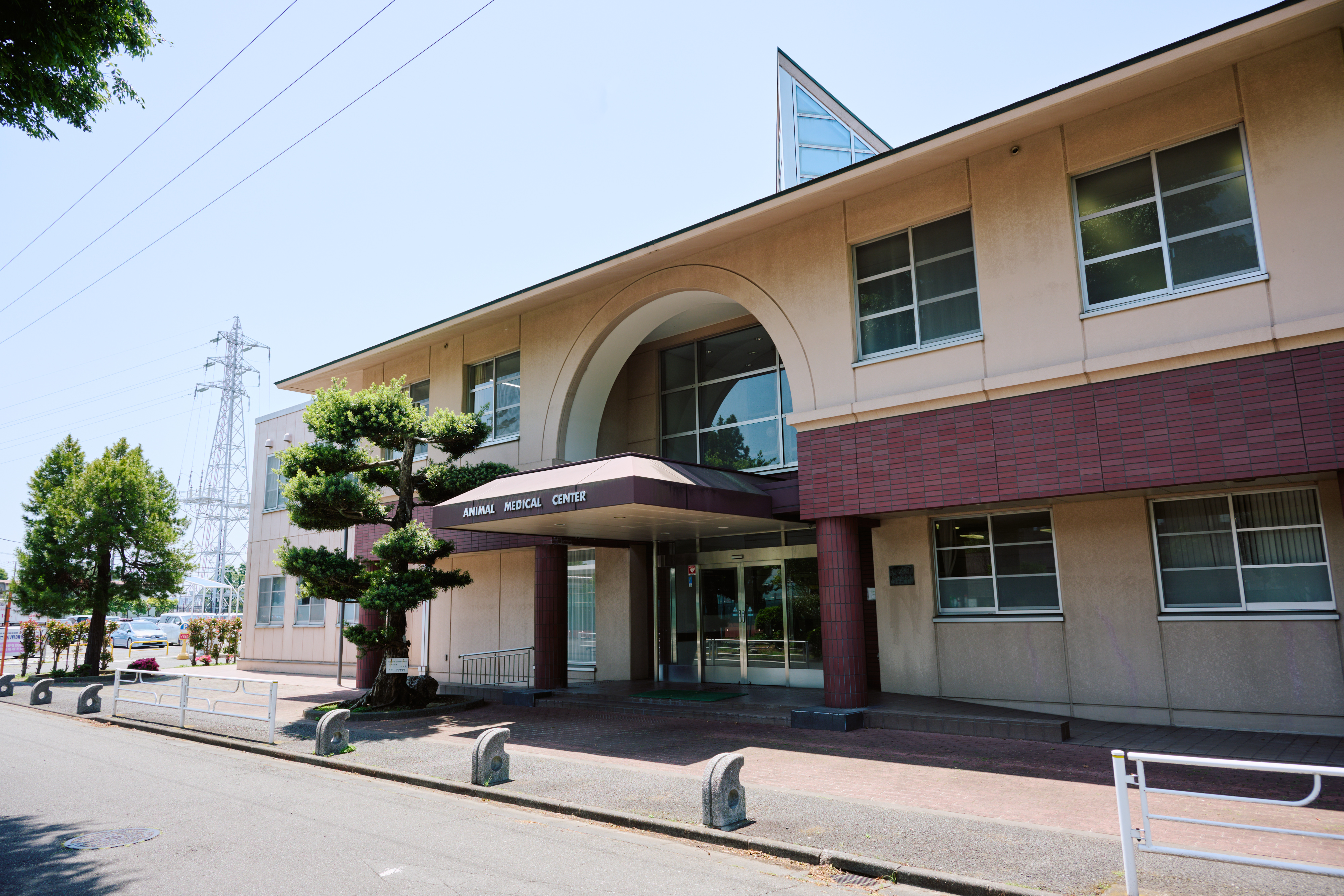 日本大学動物病院