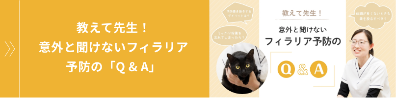 教えて先生！意外と聞けないフィラリア予防の「Q & A」
