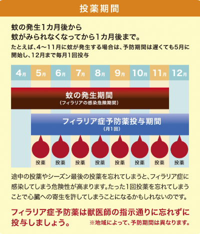 フィラリア症の投薬期間