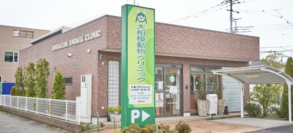 大相模動物クリニック