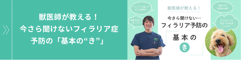 獣医師が教える！今さら聞けないフィラリア症予防の「基本の“き”」