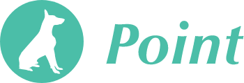 Point