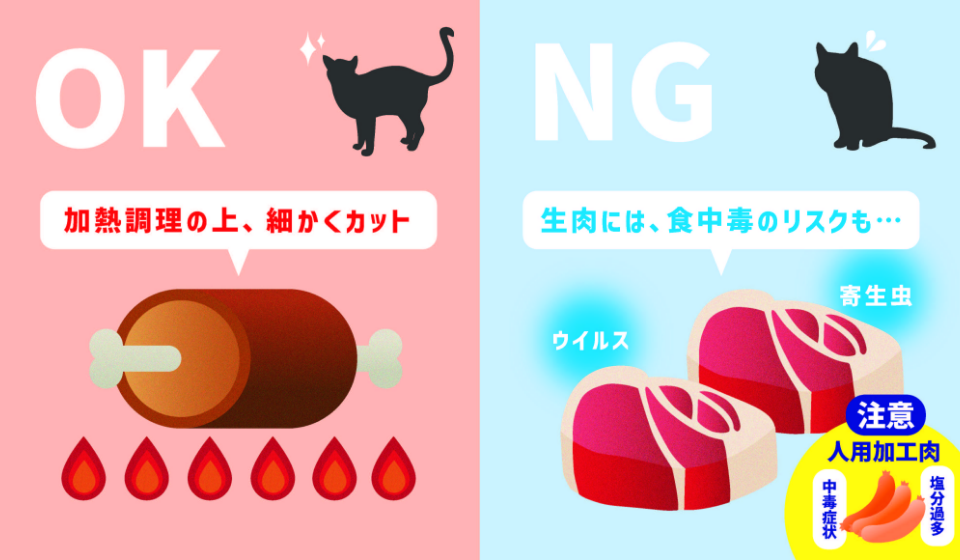 猫の肉類のOKポイント・NGポイント