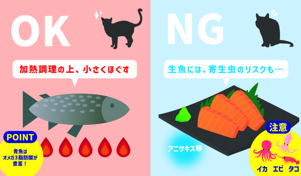 猫の魚介類のOKポイント・NGポイント