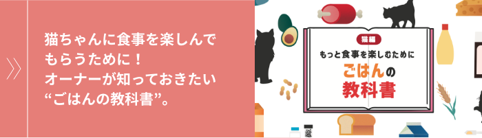 猫ちゃんに食事を楽しんでもらうために！オーナーが知っておきたい“ごはんの教科書”。