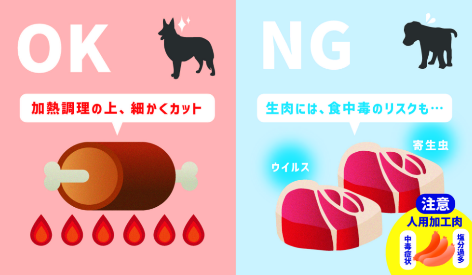 犬のお肉のOK・NGポイント