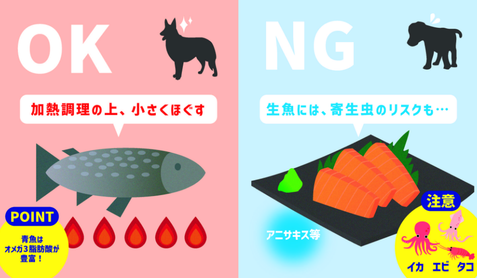 犬の魚介類のOKポイント、NGポイント