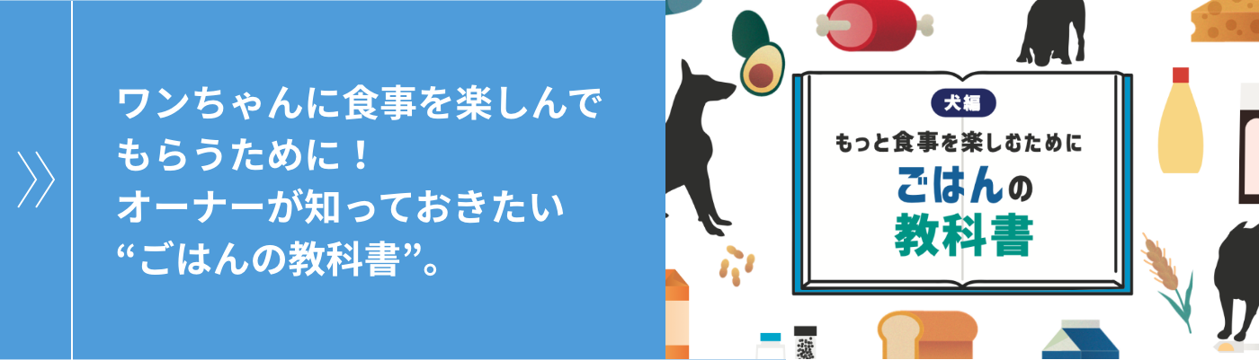 ワンちゃんに食事を楽しんでもらうために！オーナーが知っておきたい“ごはんの教科書”。