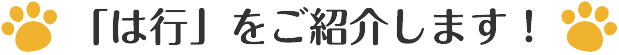 「は行」をご紹介します！