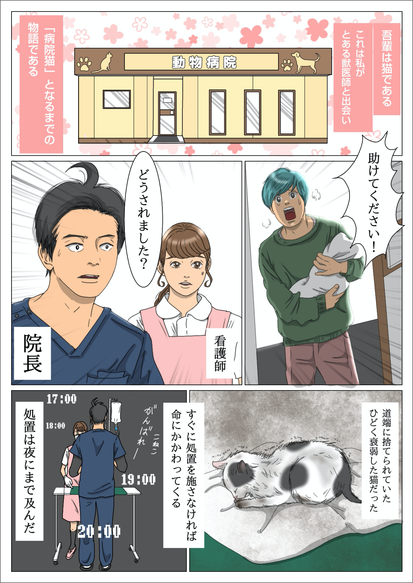 猫マンガ vol.1】「病院猫ポチ」1話 プロローグ 獣医師と猫の出会い