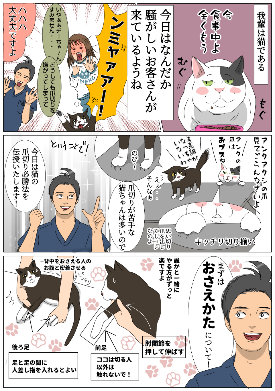 猫の爪切り