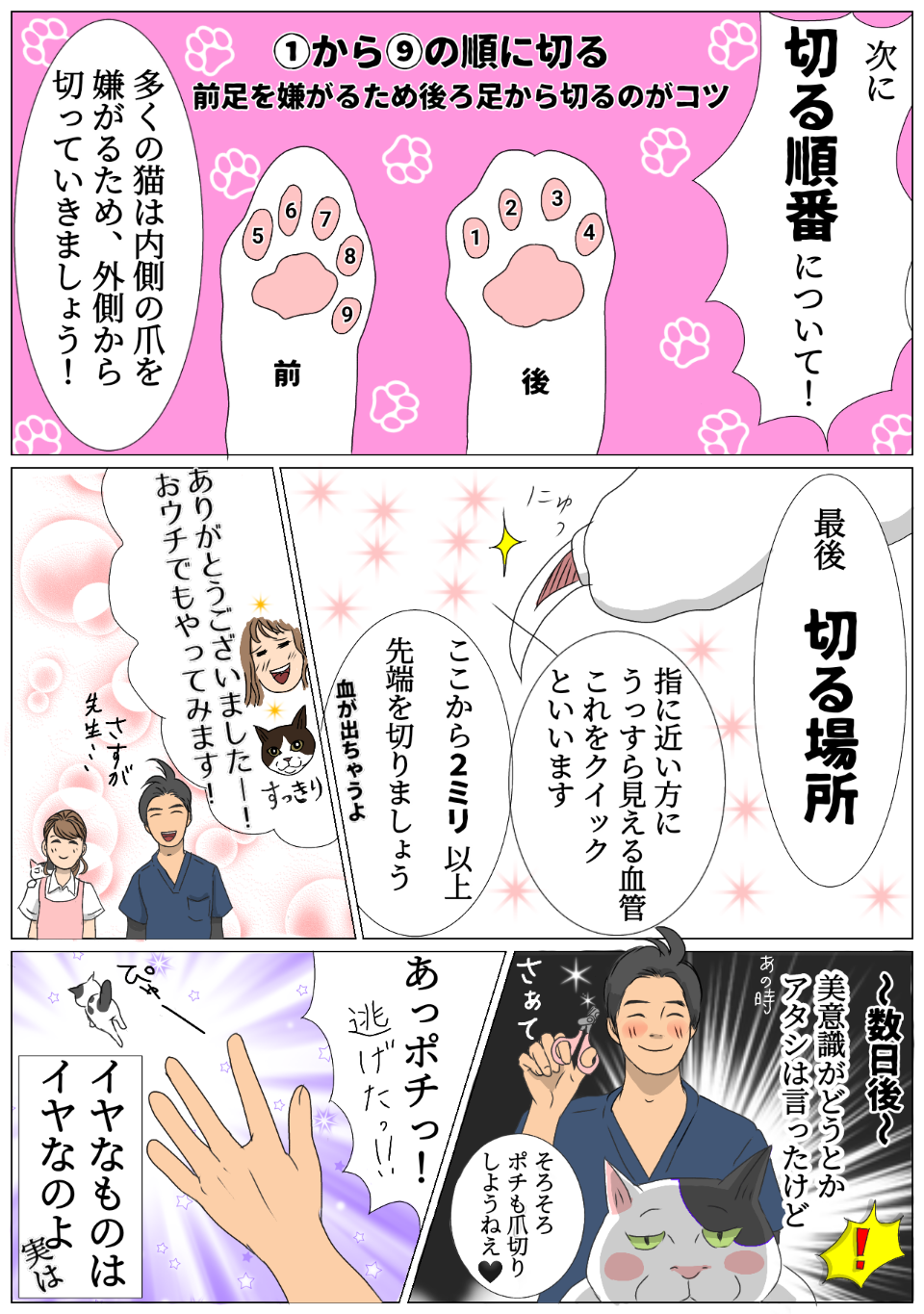 猫の爪切り