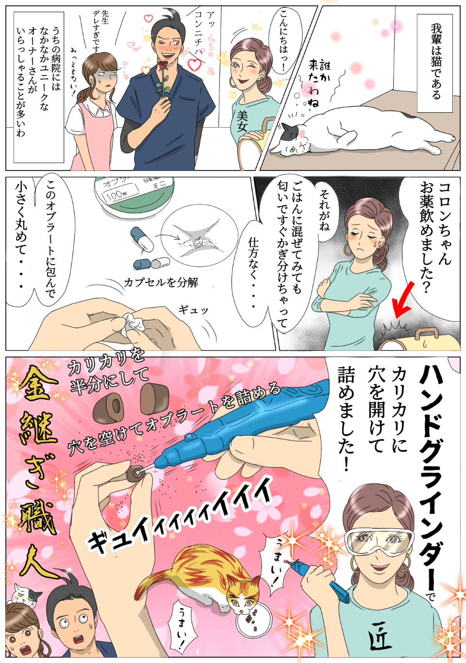 猫の薬の投与方法