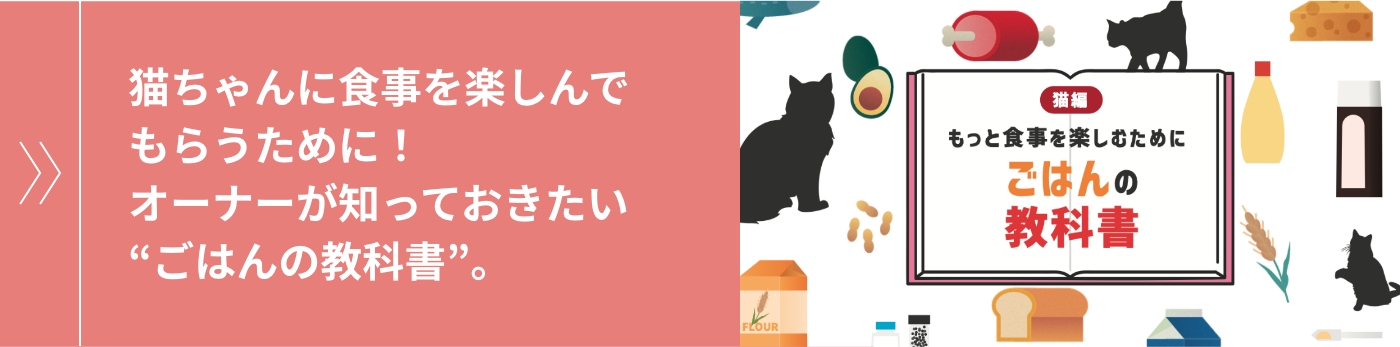 猫ちゃんに食事を楽しんでもらうために！オーナーが知っておきたい“ごはんの教科書”。