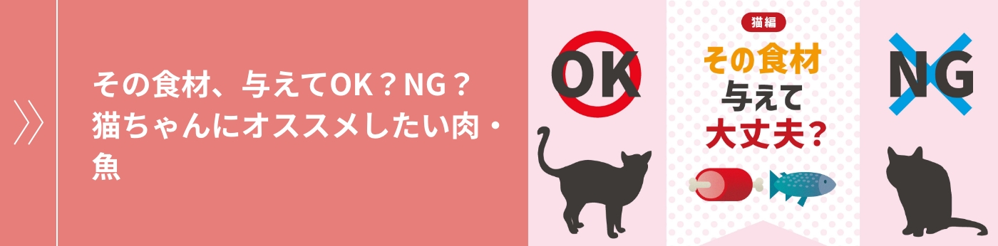 その食材、与えてOK？NG？猫ちゃんにオススメしたい野菜・果物