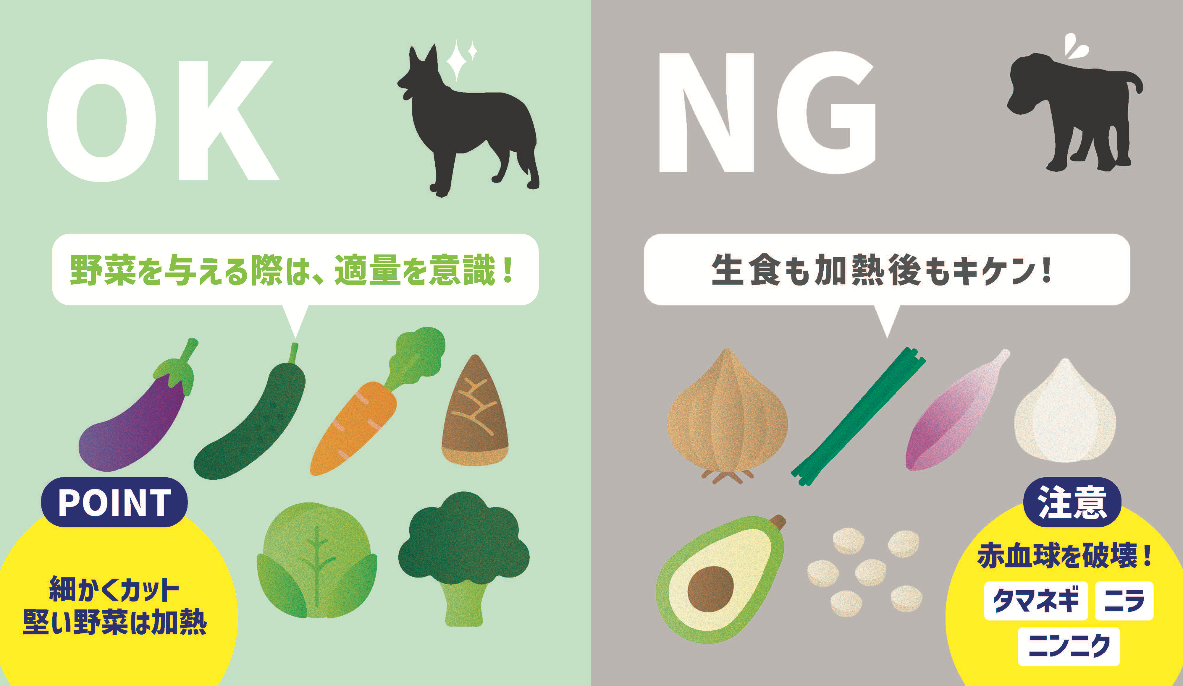 犬の野菜類のOKポイント・NGポイント