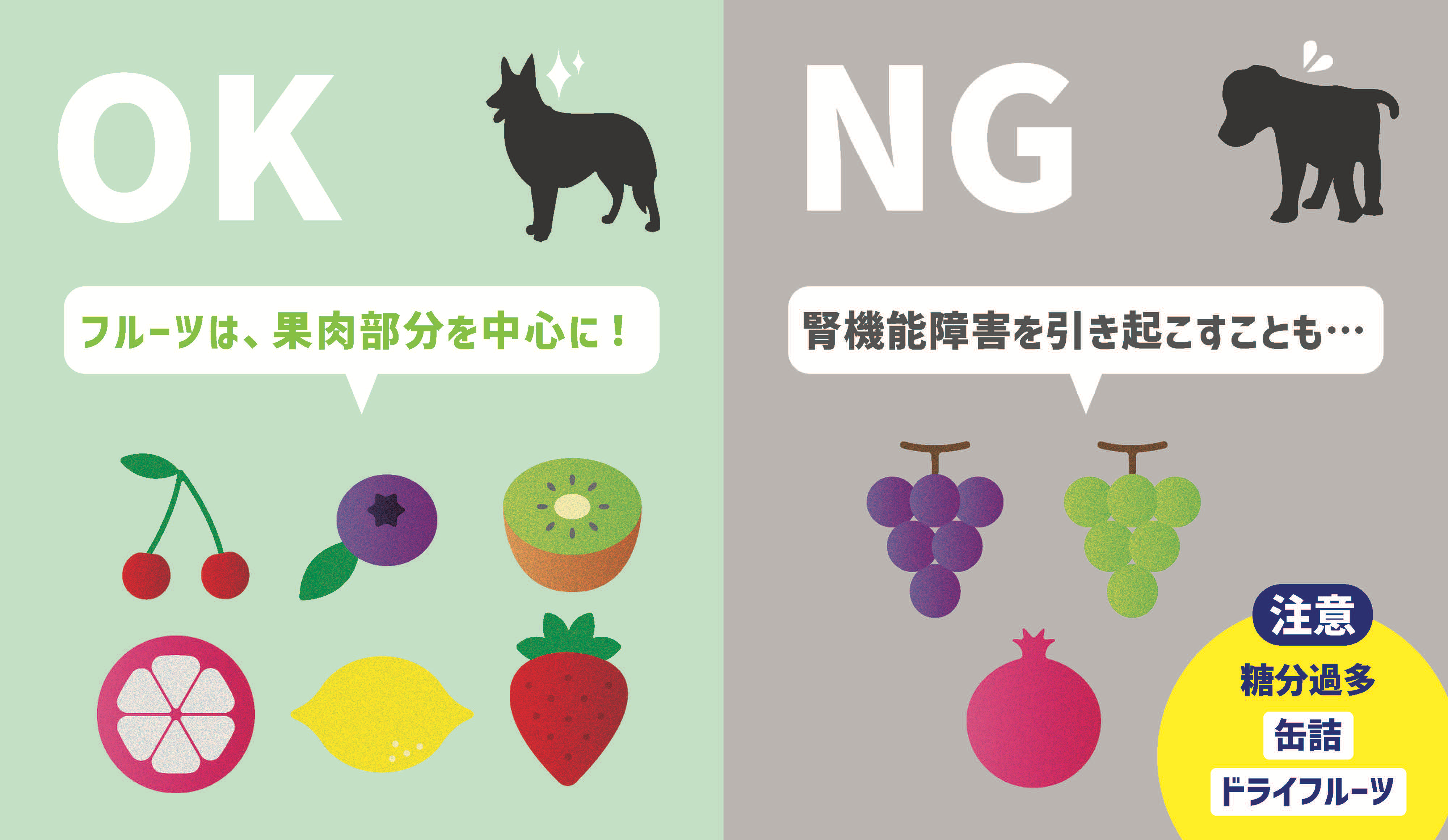 犬の果物類のOKポイント・NGポイント