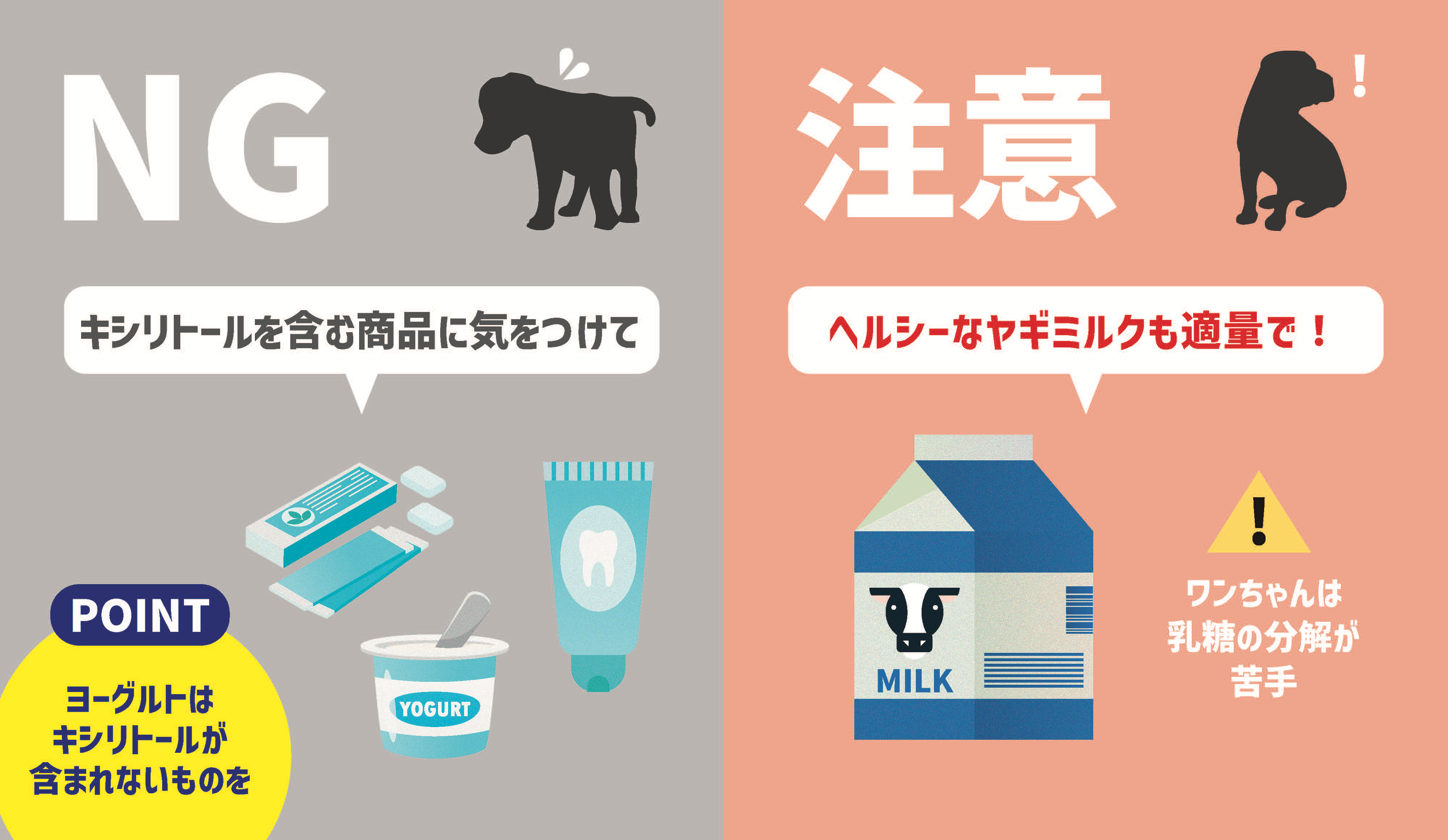 犬の他の食材のOKポイント・NGポイント