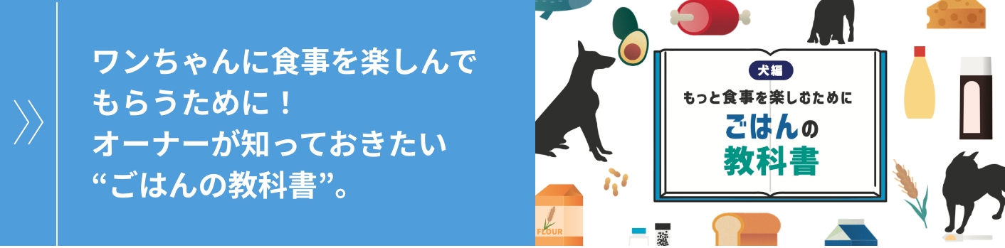 ワンちゃんに食事を楽しんでもらうために！オーナーが知っておきたい“ごはんの教科書”。