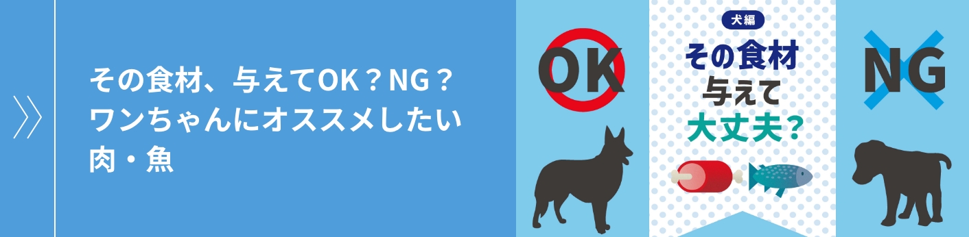 その食材、与えてOK？NG？ワンちゃんにオススメしたい肉・魚