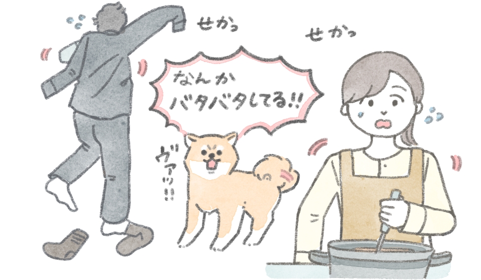 早朝に吠えている愛犬の様子