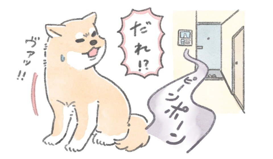 インターホンの音に反応する愛犬の様子