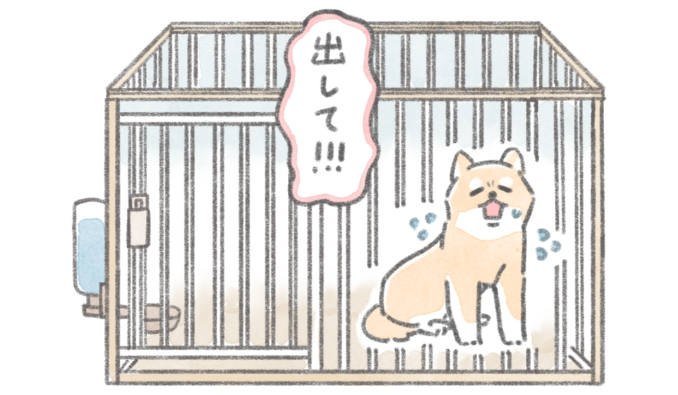 ケージ内で鳴いたり吠えたりする愛犬の様子