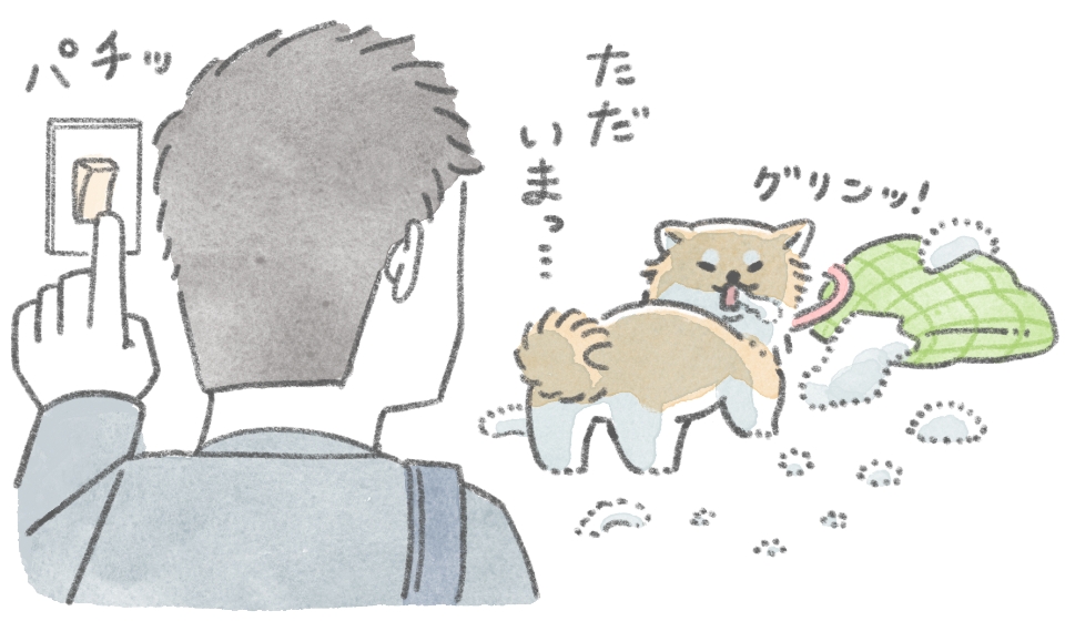 クッションを噛んでいる愛犬の様子