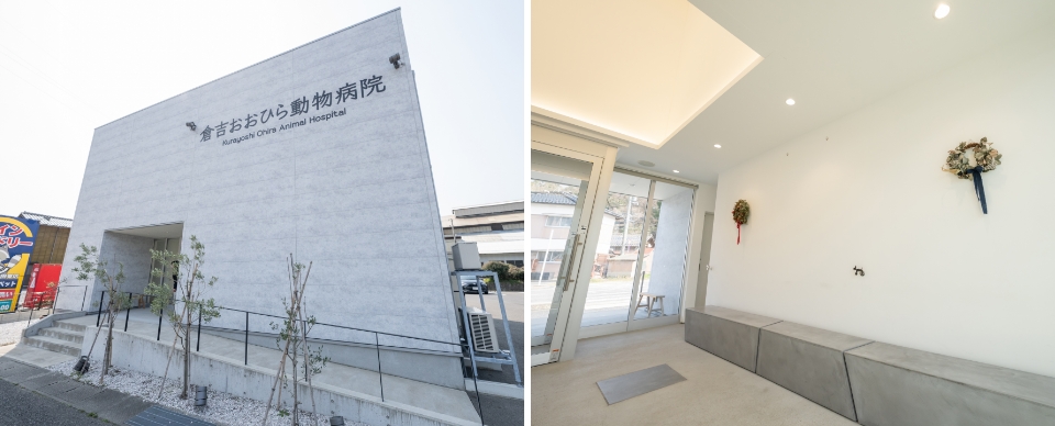倉吉おおひら動物病院の建物外観、撮影スタジオのようなシンプルかつお洒落な待合室