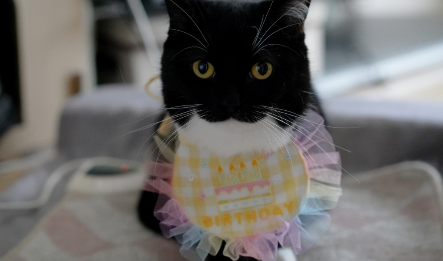 うに、２歳のバースデイ写真
