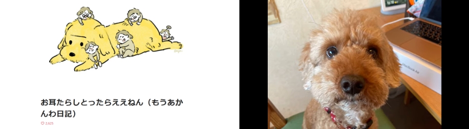 梅吉くんが落ち込むひろ実さんを爆笑させた動画