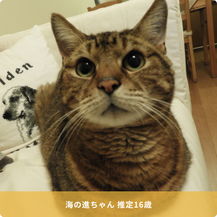 海の進ちゃん 推定16歳