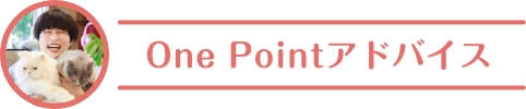 One Pointアドバイス
