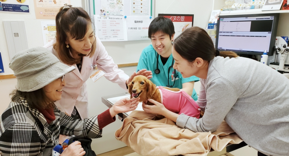 動物病院にて、獣医師とともにグリーフケアを行っている獣医師