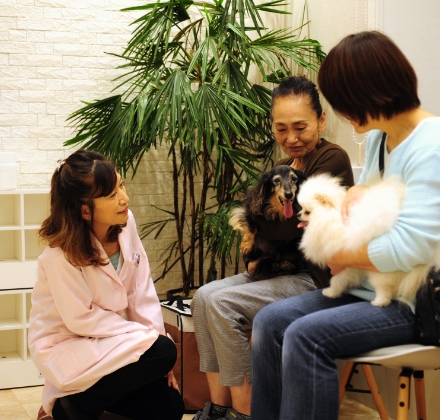 待合室診療にて、ペットと飼い主に寄り添う獣医師